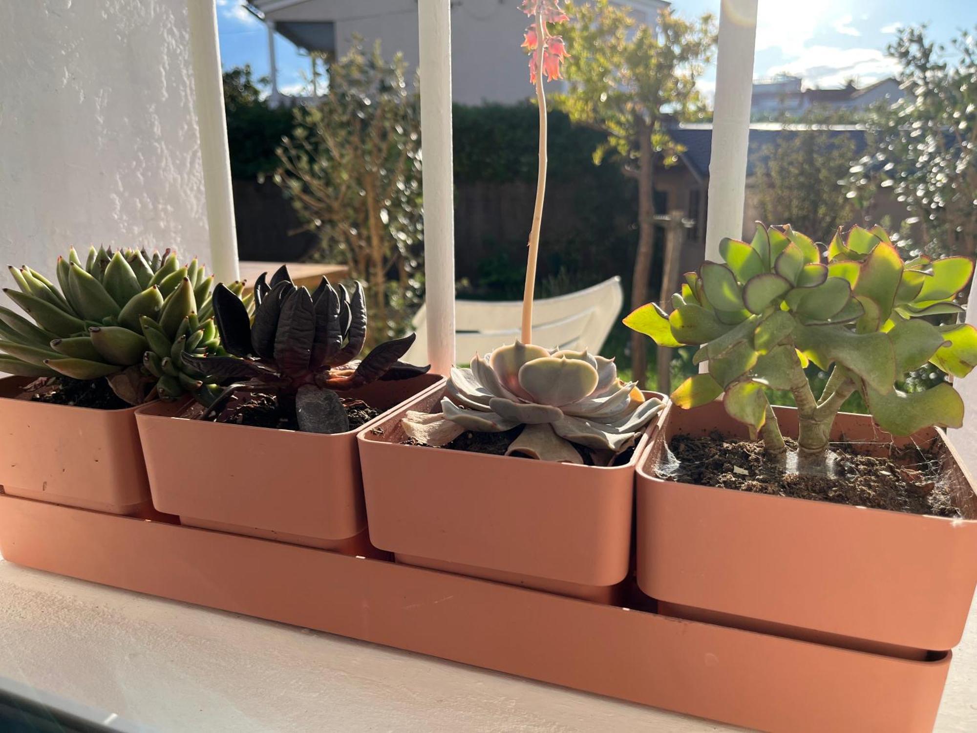 Appartement Deux Pieces Donnant Sur Un Jardin Antibes Bagian luar foto